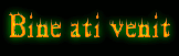 BINE ATI VENIT